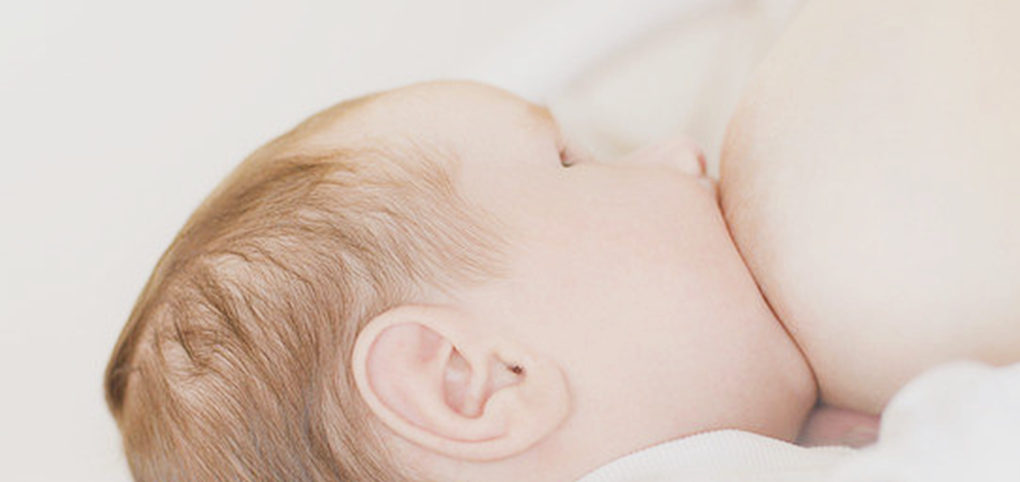 中科肽业母乳喂养合作区域